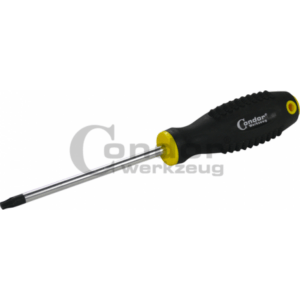 TORX atsuktuvas T30x125mm