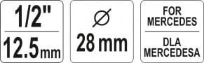 Galvutė Mercedes CDI – nuotrauka 3