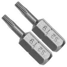 Antgalis atsuktuvui ¼ T9x25mm 2vnt. TORX