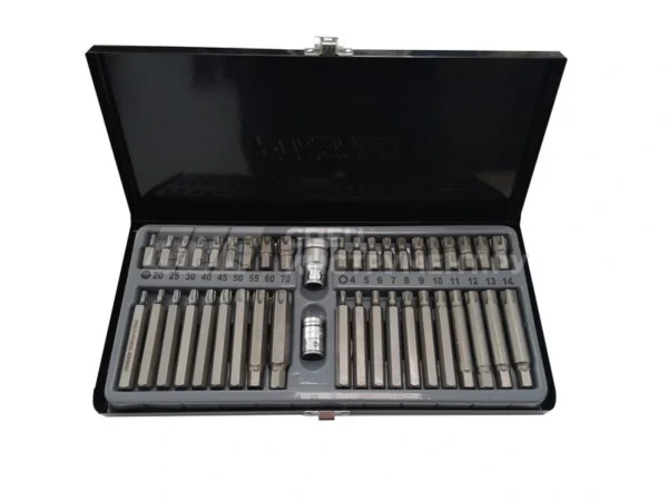 Antgalių rinkinys TORX 42vnt.